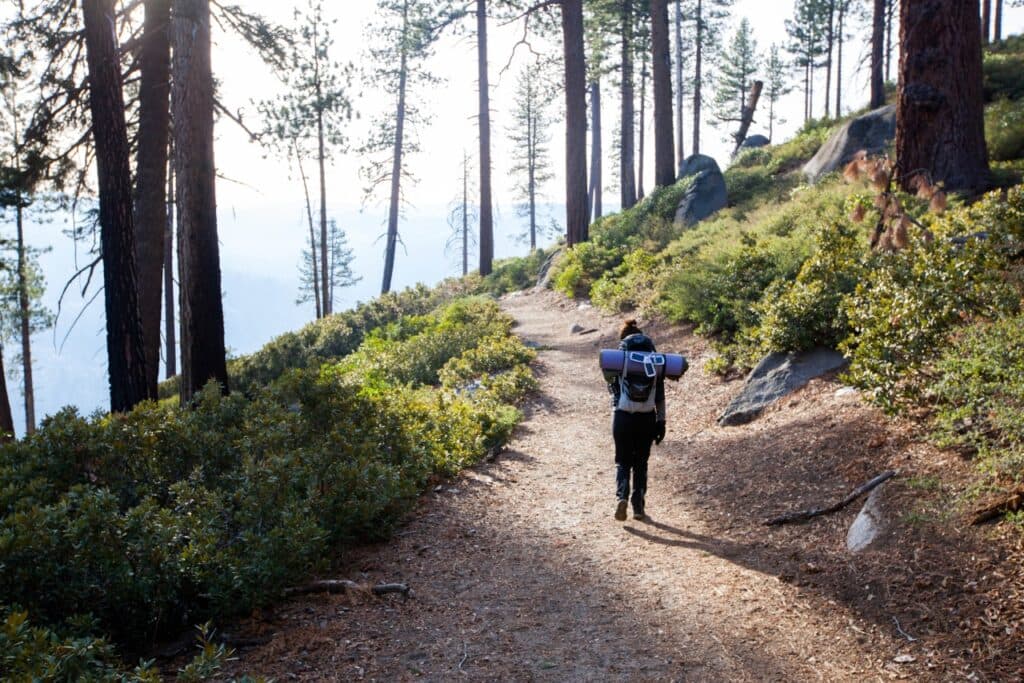Integrative health and wellness