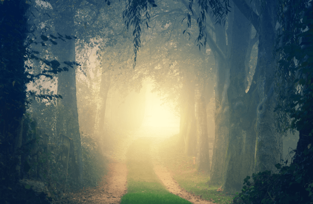 From dark to light — visual representation of the coaching journey