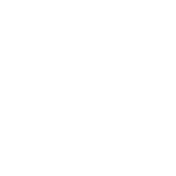 Fusion