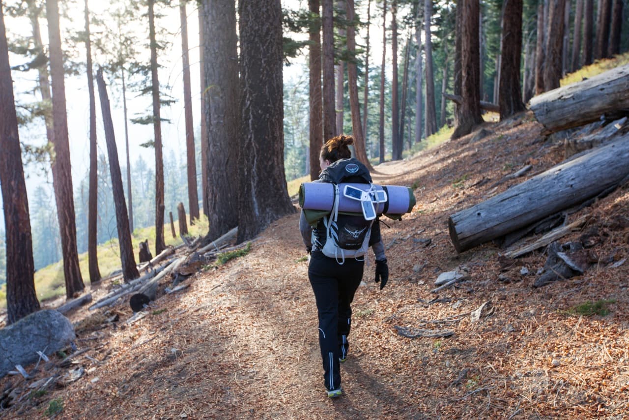 Why Traditional Therapy Isn’t Working for Your Stuck Young Adult